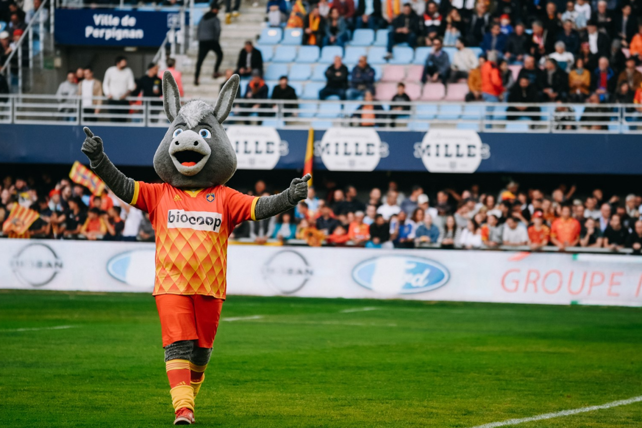 Focus sur le match - USAP / STADE TOULOUSAIN