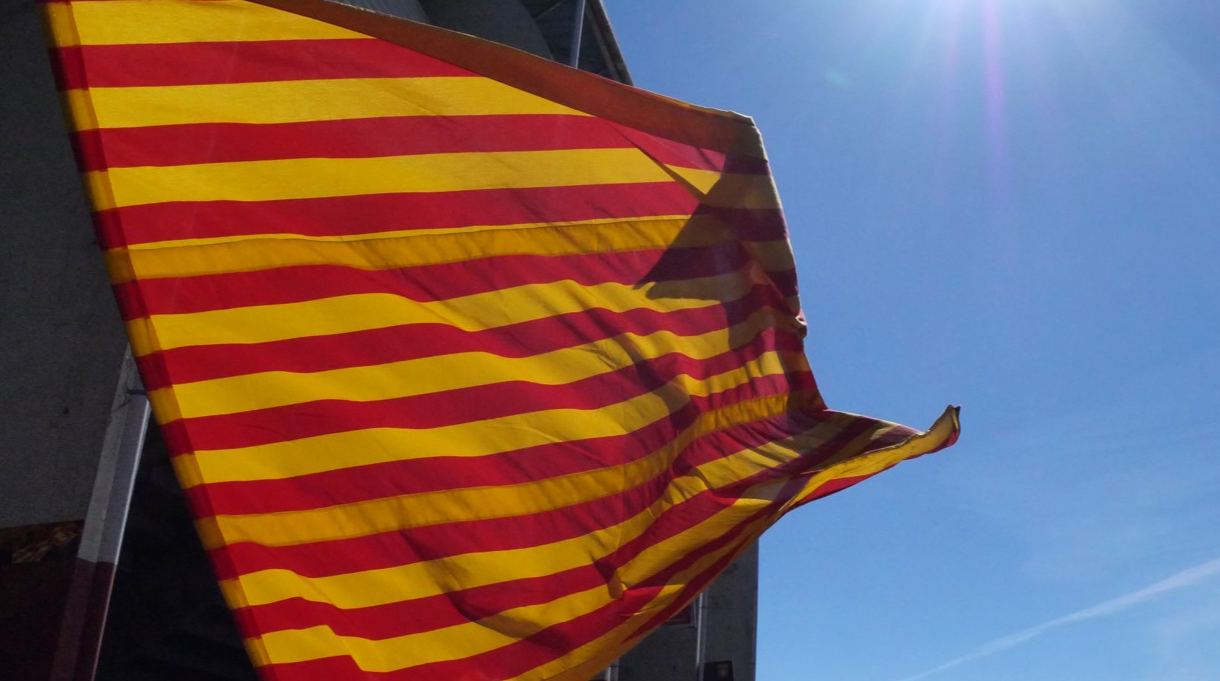 Focus sur le match - USAP/A.BAYONNAIS