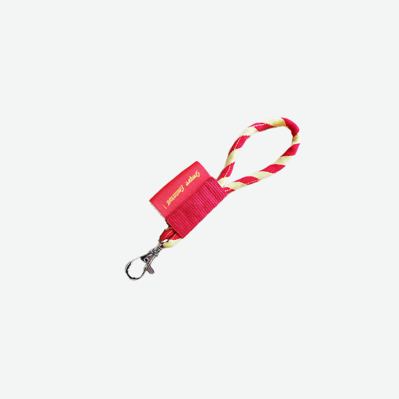 Porte-clé lanyard USAP
